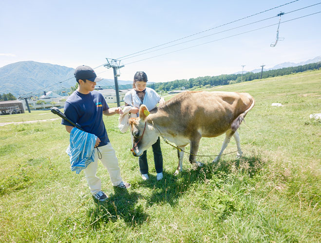 白馬乗鞍ゲレンデ牧場の画像