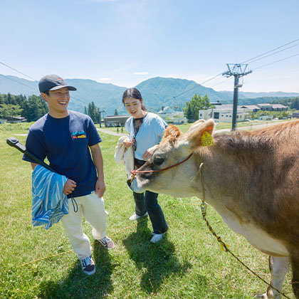 白馬乗鞍ゲレンデ牧場の画像