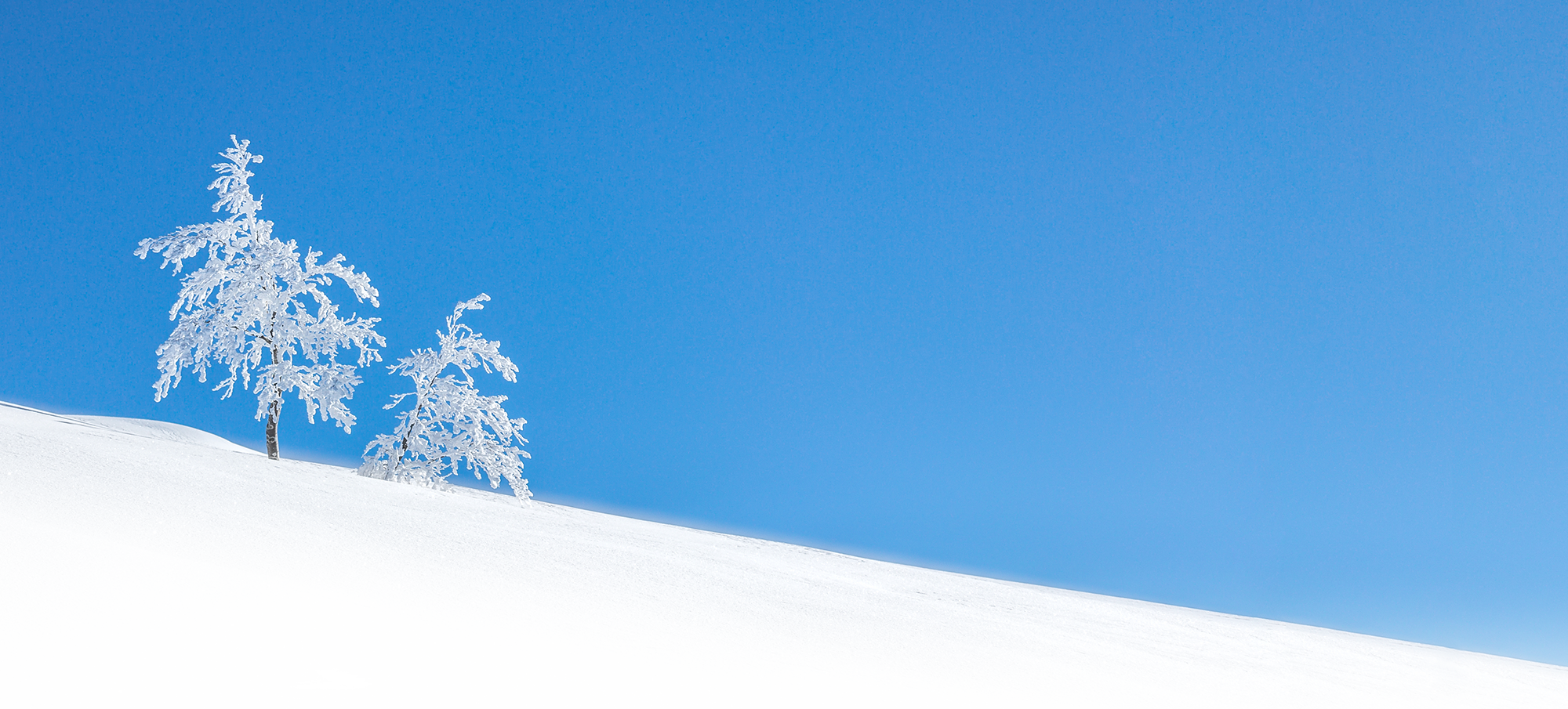 雪山の画像