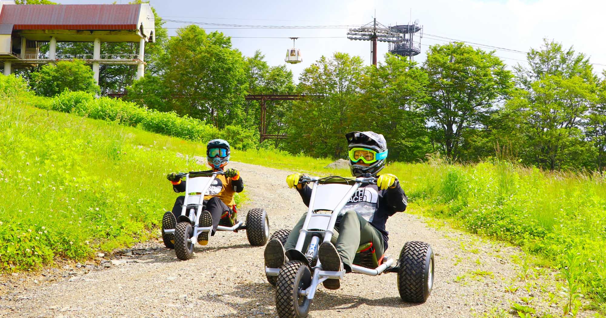 Mountaincart