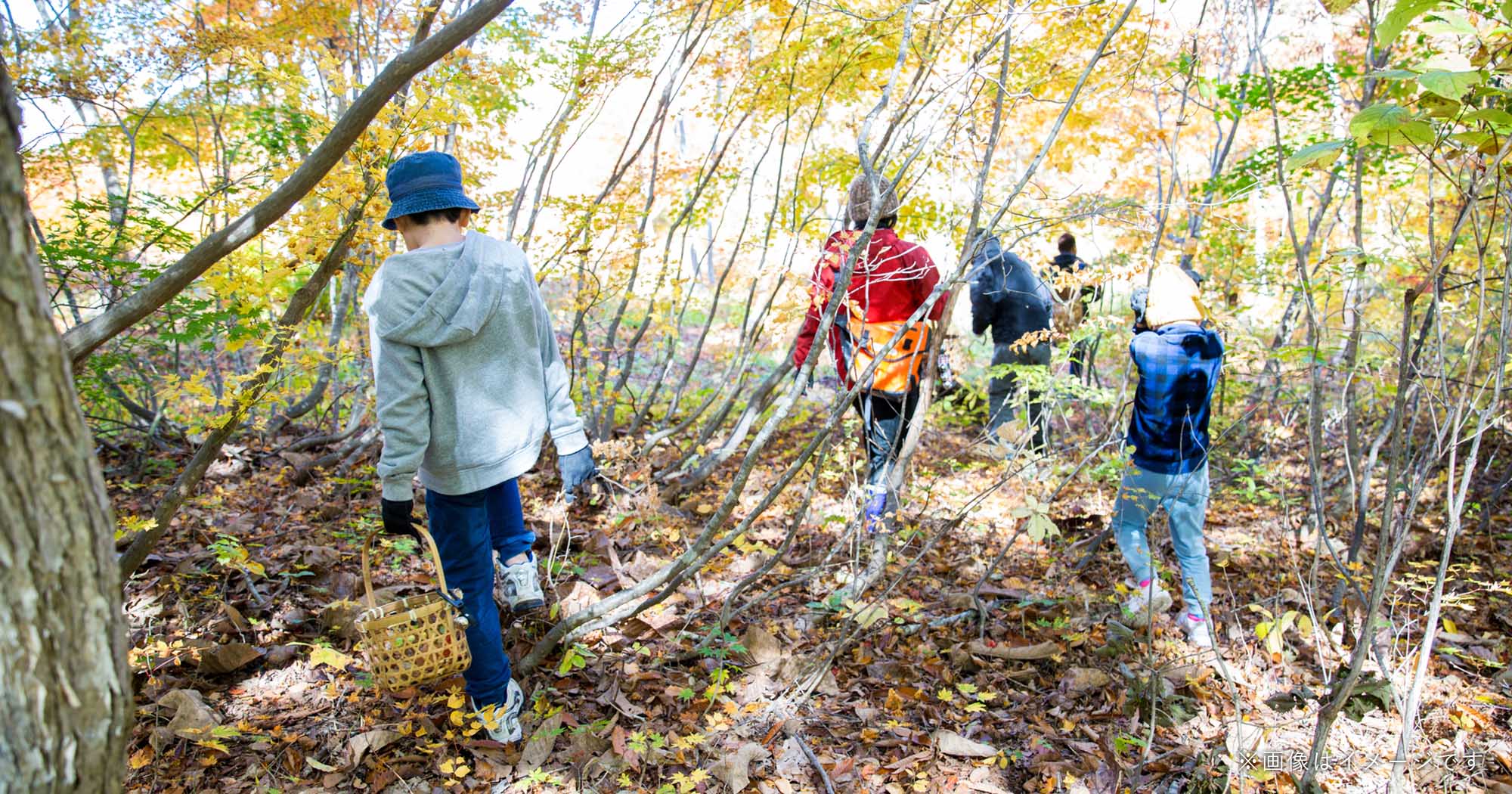 Otari Nature School